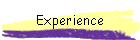 Experience